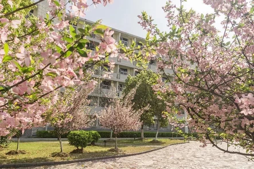 安徽省高校合肥理工,安徽省二类本科公办大学