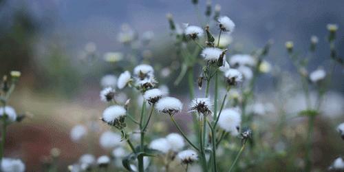 越极简越接近自然,越极简越幸福越简单