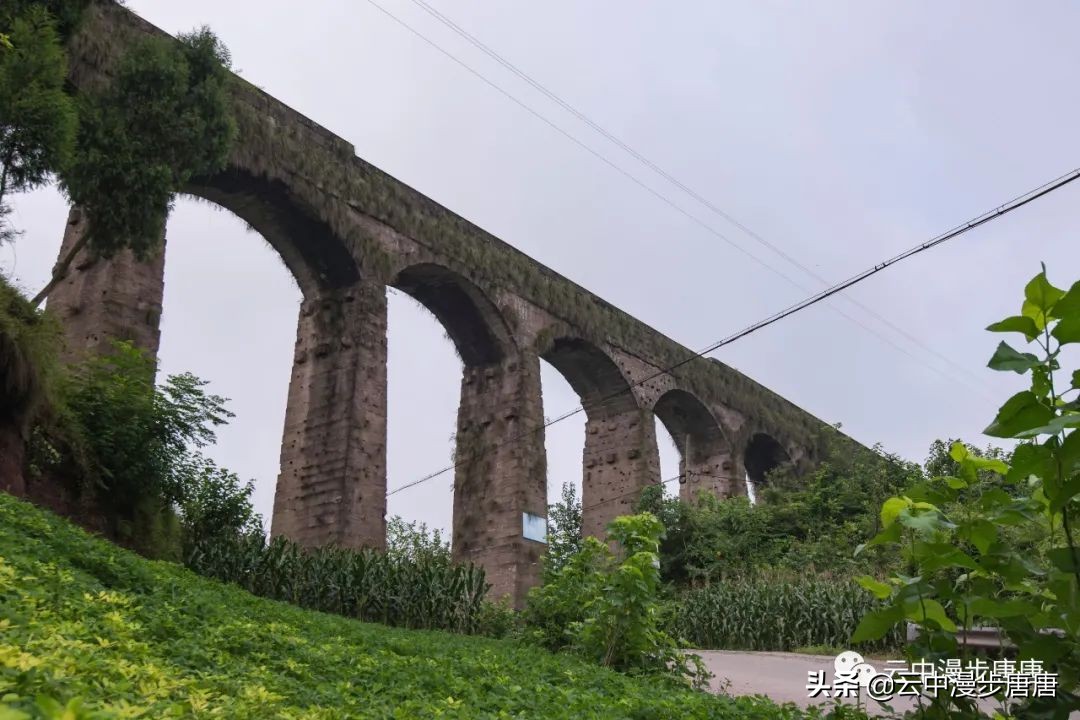 行走的风景岳池,行走的“风景”