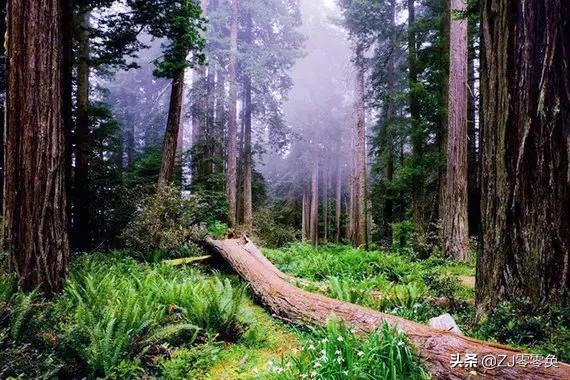 成都周边爬山的好地方人少免费,大年初一成都周边登山游一日游