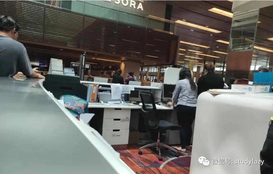 新马泰之行完整版,新马泰新加坡