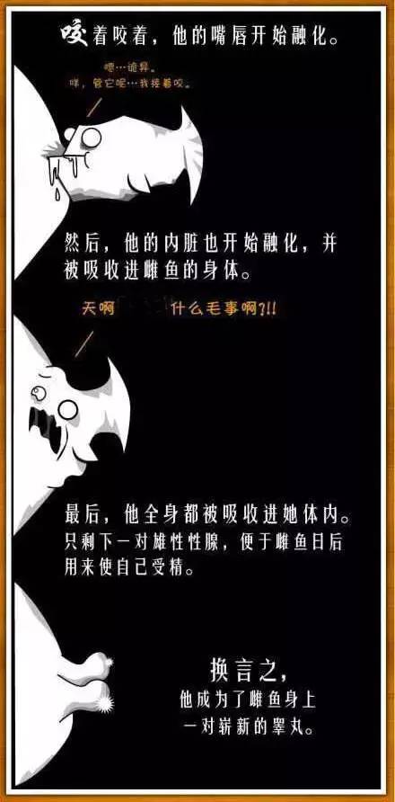 公鸡没有丁丁，蜗牛一起射精。带你科普大自然千奇百怪的交配方式