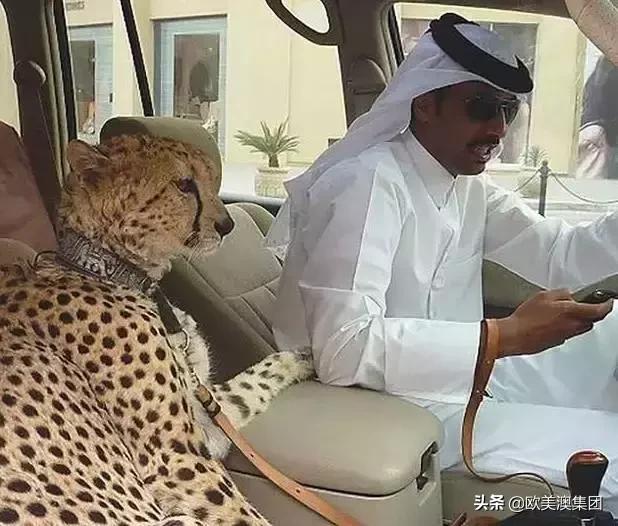 遍地黄金,迪拜是黄金豪车云集的地方