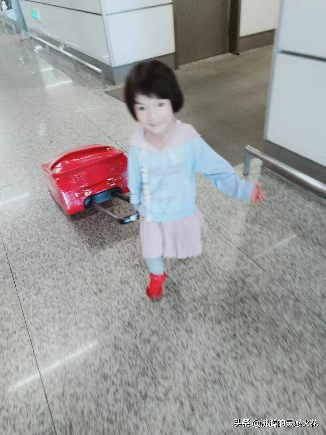 长隆野生动物世界旅游,感受热带南国风景