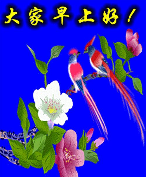 微信动态带字早上问候语图片大全,微信早晨好表情动态祝福语