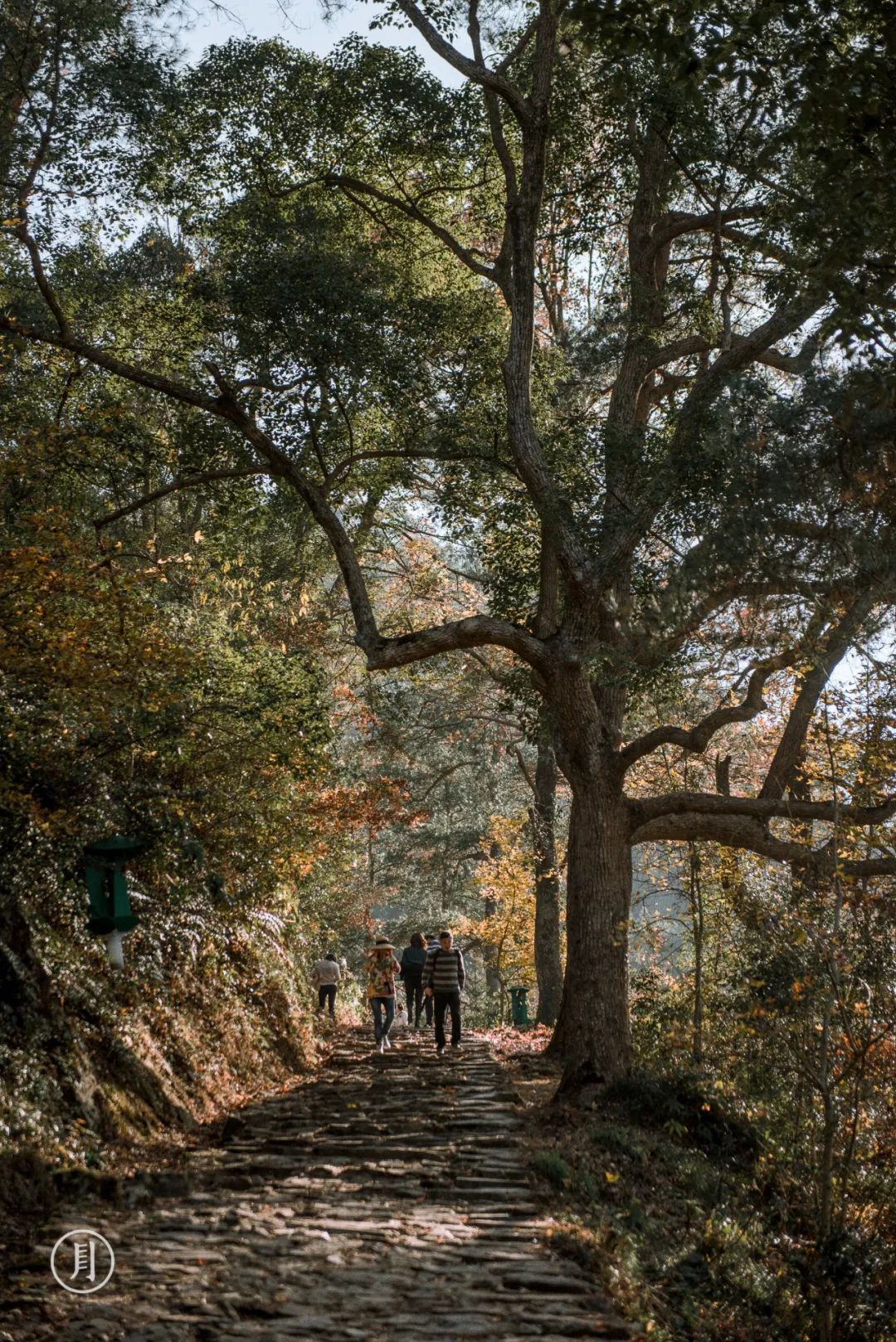什么是台州畅行码,什么是台州