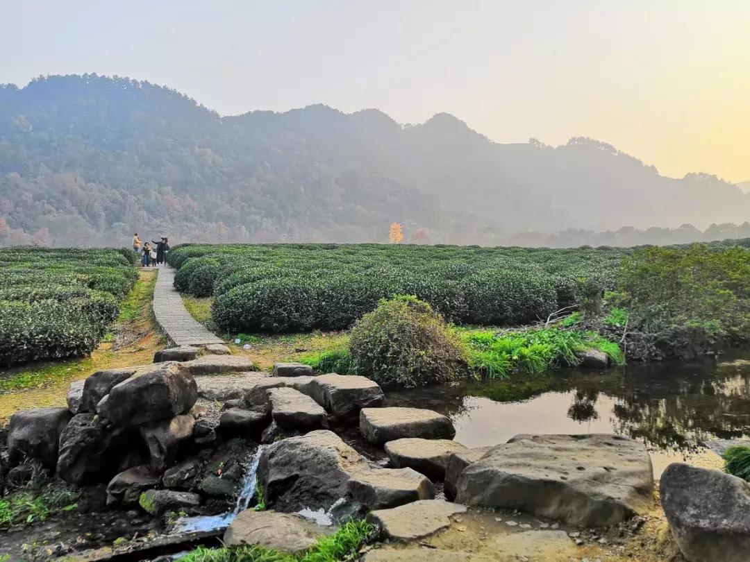 来杭州不知道做什么,来杭州不去哪里遗憾