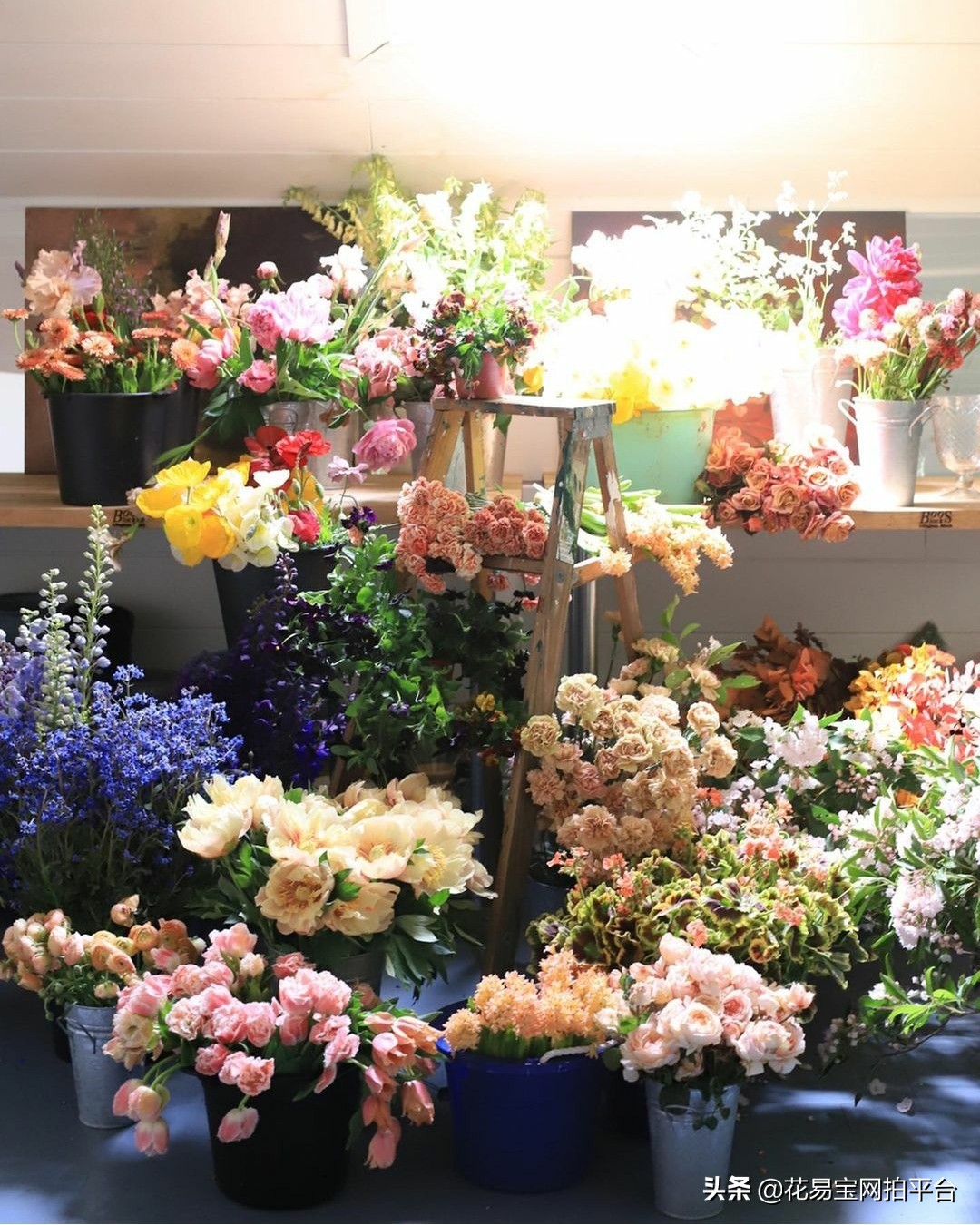 花店如何建立供应链,开花店需要了解的花知识