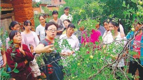 5元农村暴利生意,在农村一个月能赚两三千的生意
