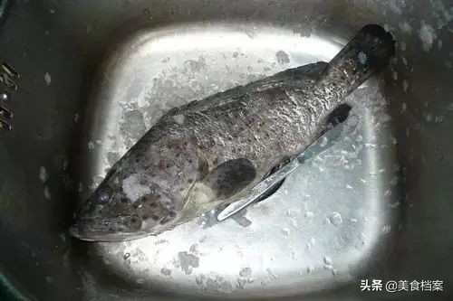 4种去鱼鳞的方法，简单好学，SoEasy！