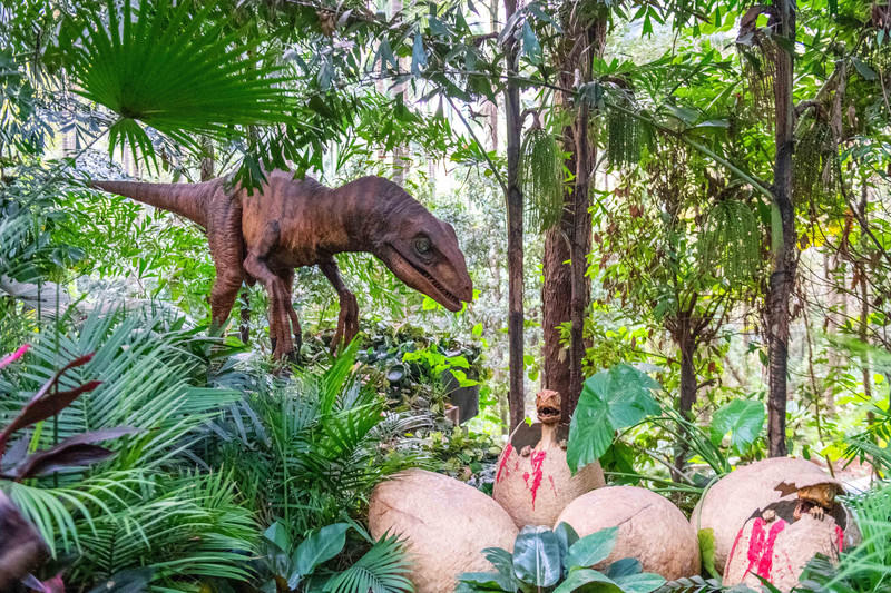 广州长隆野生动物世界旅游攻略,长隆野生动物世界攻略2-3天广州游