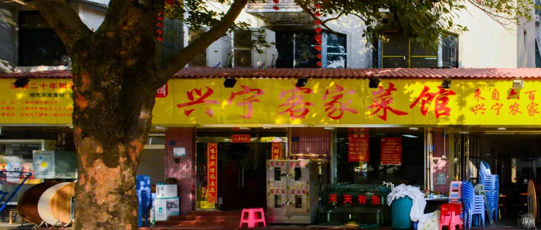 上海梅林有多厉害,上梅林有什么好处