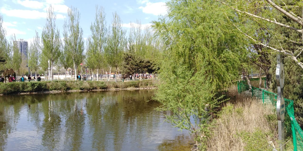 沈阳长白岛森林公园一日游攻略,长白岛森林公园五一