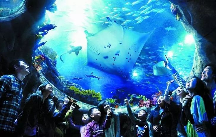 海昌海洋公园口碑,海昌海洋公园值不值