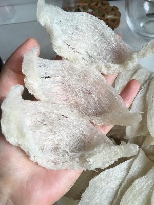 印尼燕窝跟马来燕窝哪个好,sohealthy燕窝是印尼燕窝吗