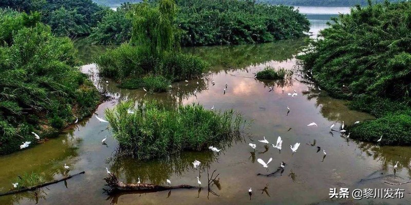 常熟地图全图大图沙家浜,常熟沙家浜风景区公交车