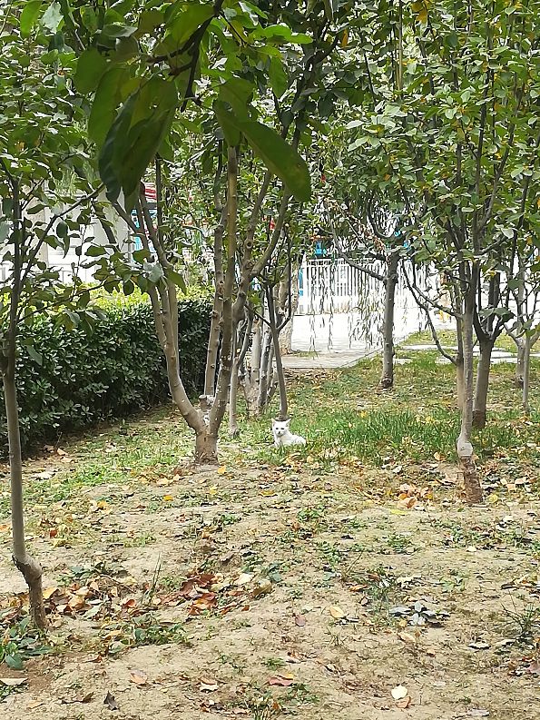 天津遛娃好去处,天津近郊一日游好去处