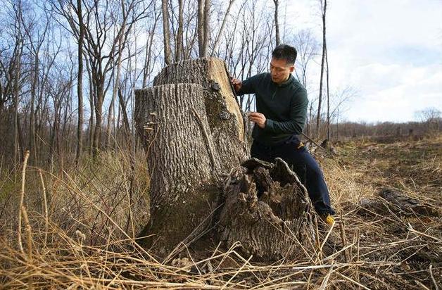 一个新闻追踪了20年,这是媒体对公共利益最好的守护丨*今条头日**月度优质长文