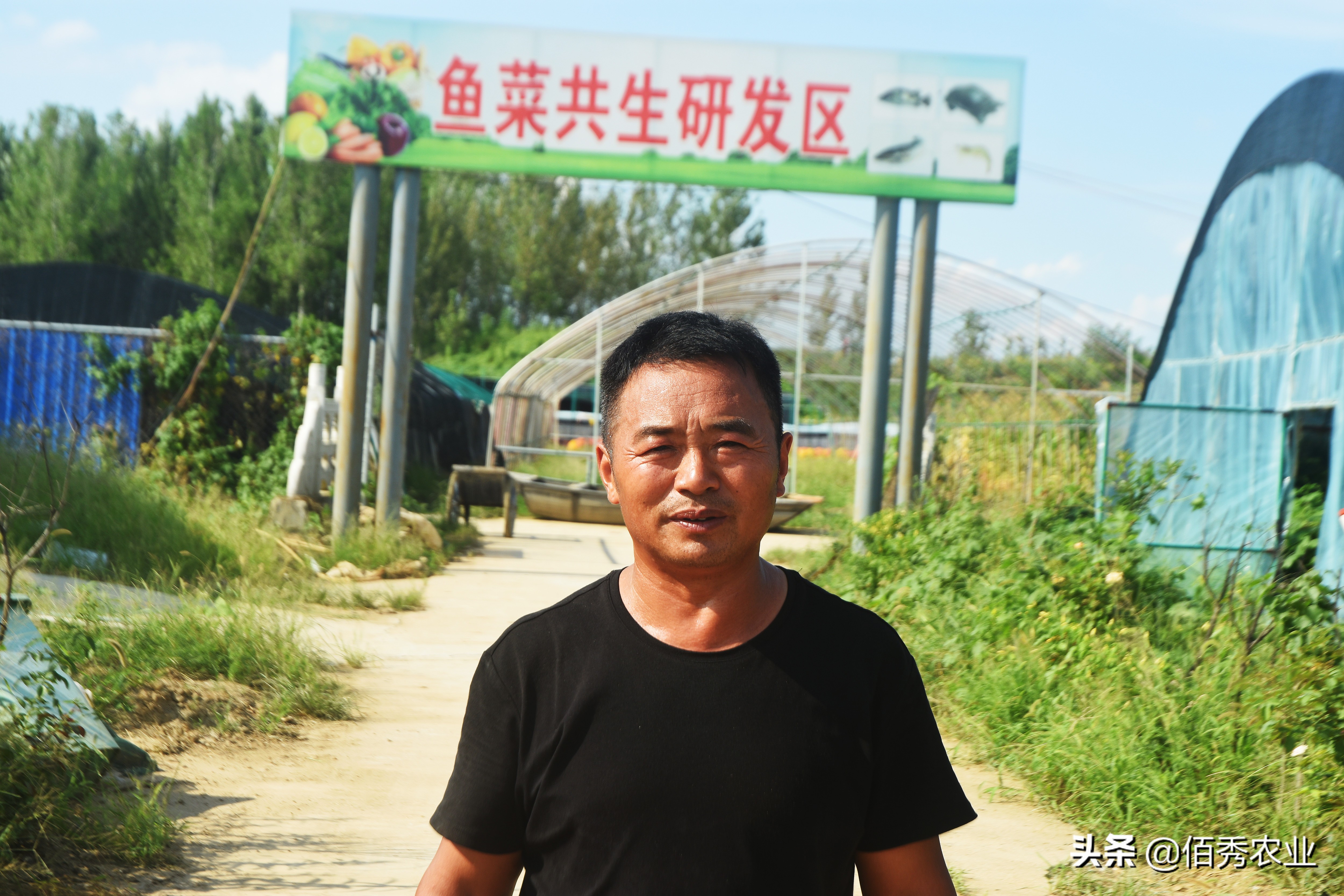 农村人怎么创业致富门路有哪些,2023年致富带头人都有什么专业