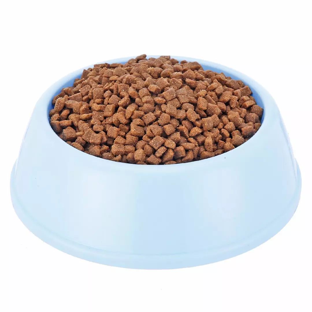 宠物食品发展特征及问题分析,宠物食品需要具备哪些要求