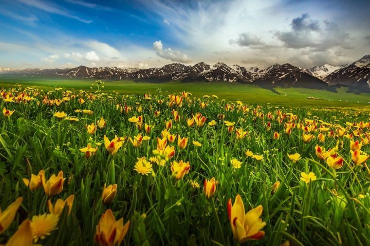 购物团如果不买东西该怎么办,参加购物团却不买东西