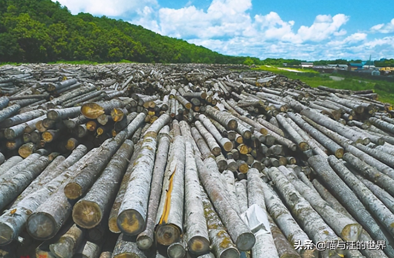 俄罗斯1700万平方公里是怎么来的,俄罗斯1700万国土面积