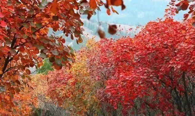 济南旅游景点推荐带孩子玩,济南旅游景点推荐适合带孩子