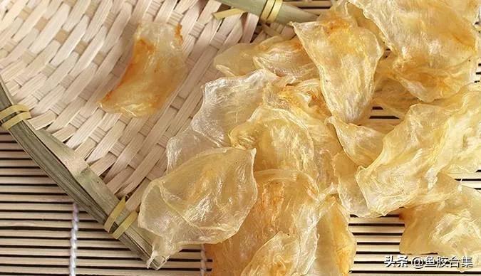 油炸鱼胶正确的泡发方法,北海公鱼胶正确泡发方法