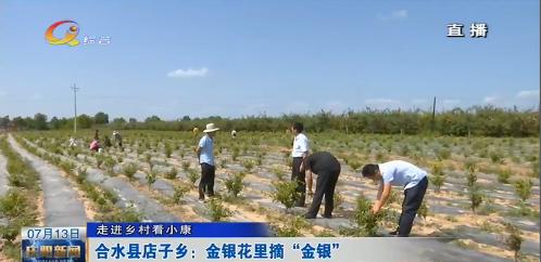 2017年12月17日庆阳新闻 (2017年12月18日庆阳新闻)