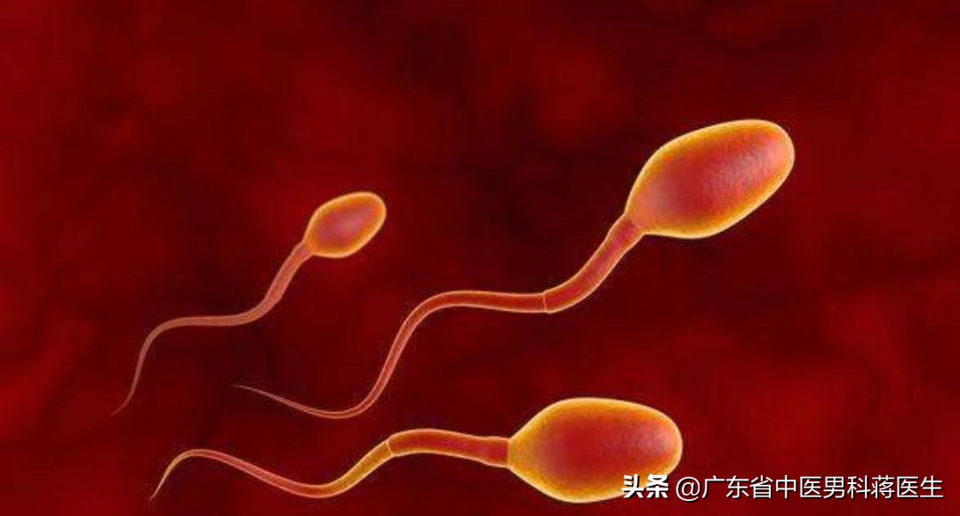 精子带血什么原因造成的,精子带血是怎么回事挂什么科