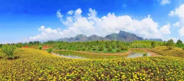 自驾车去北京世园会,自驾青岛世园会