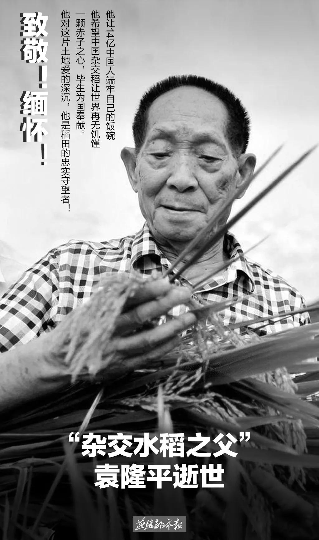 袁隆平经典语录实录,我们为什么佩服袁隆平