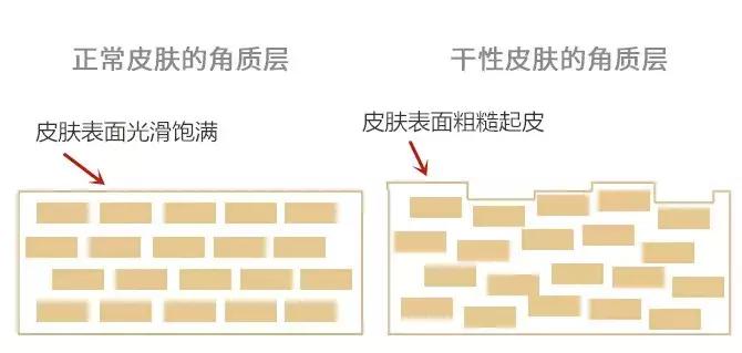 宋慧乔为何可以红这么多年,宋慧乔何穗惊艳亮相