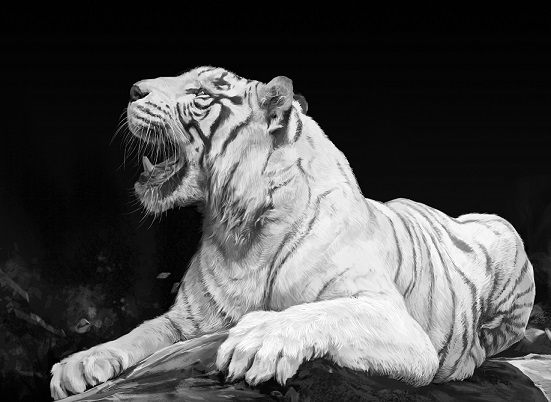 胡雪岩口中的白虎,胡雪岩讲的白虎是什么