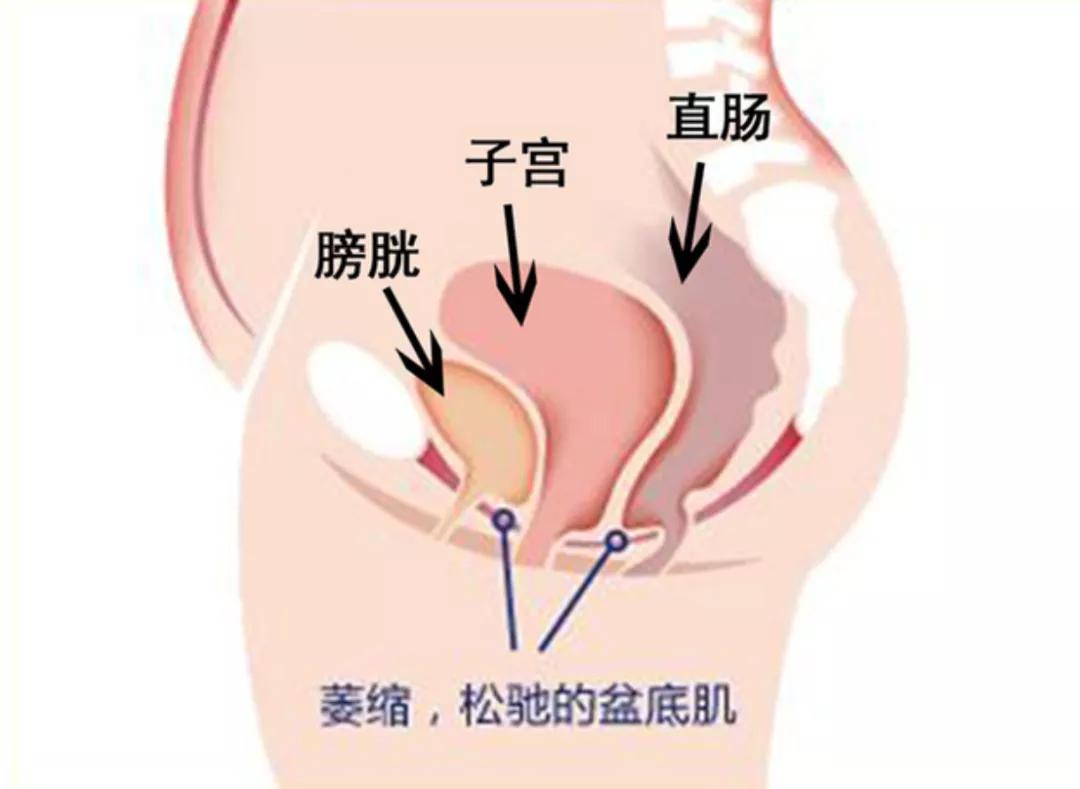 女明星产后复出让人眼前一亮的秘密到底是什么