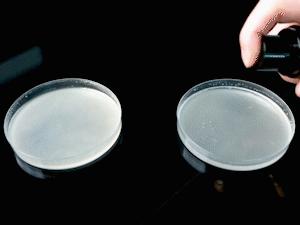 有脚臭怕被人嫌弃的样子该怎么办,老是担心自己脚臭