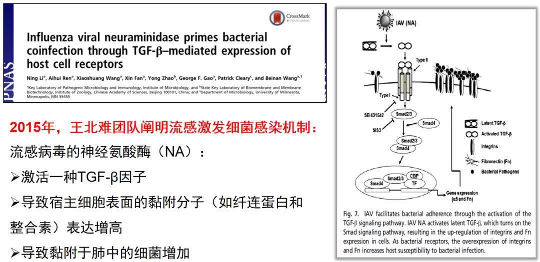 陈荣昌在哪个医院,陈荣昌广州呼吸疾病研究所所长