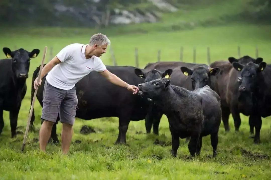 为了让你买到全球好货，福友也是蛮拼的