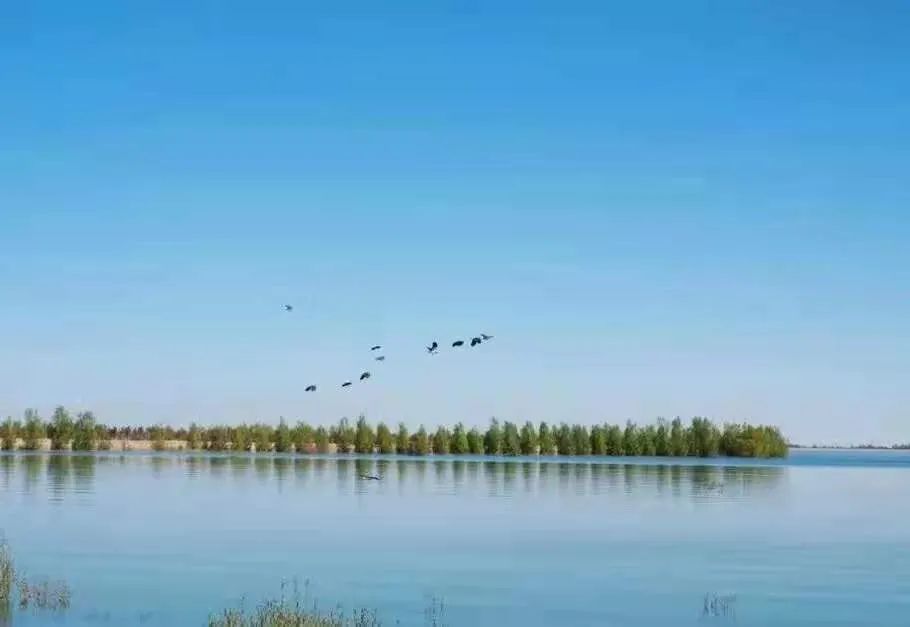 我是甘肃人我骄傲完整版,我是甘肃的我骄傲