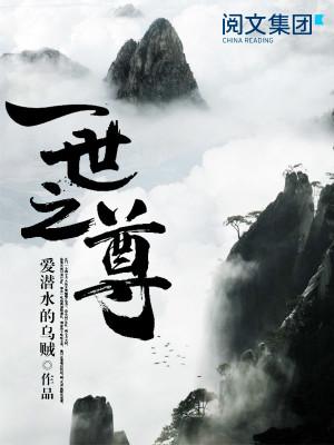 带数字的小说排行,最多字数小说排行榜