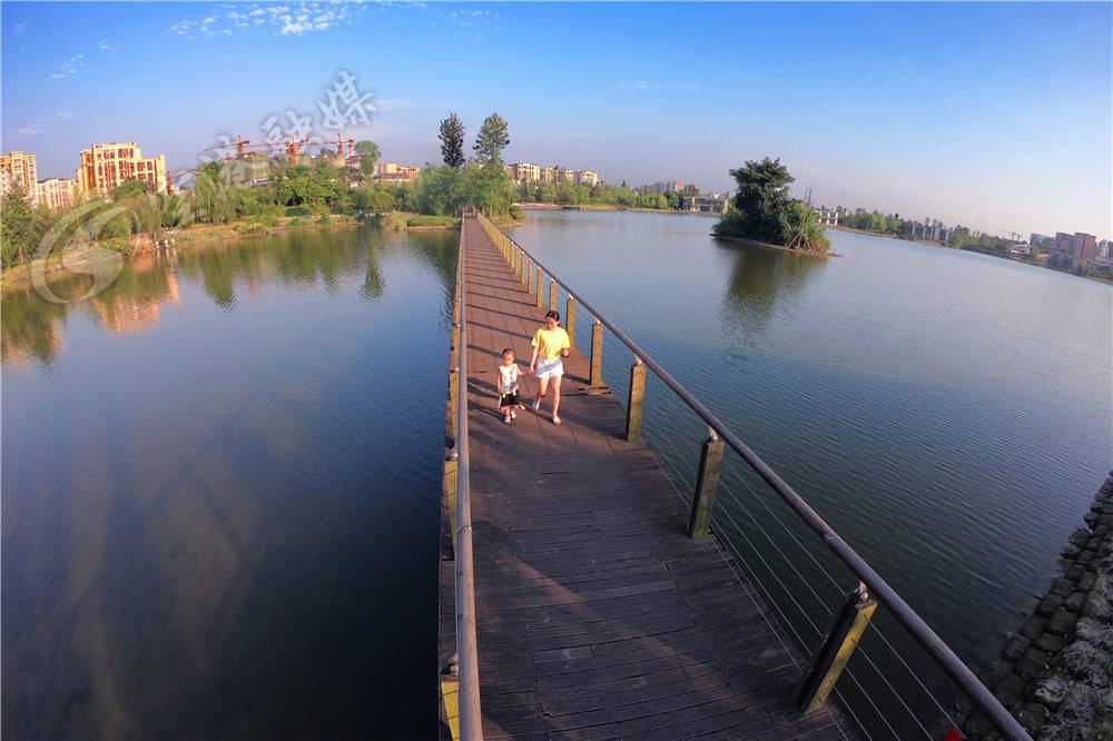 一条河记载了时光的变迁与沧桑,从一条河开始的无限进化免费阅读