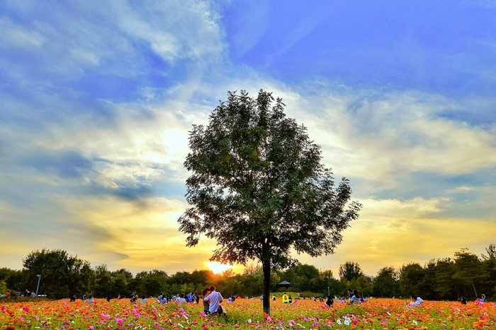 北京奥林匹克公园管委会主任,奥林匹克委员会采访