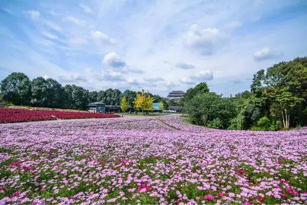 石象湖优惠,石象湖门票免费领取