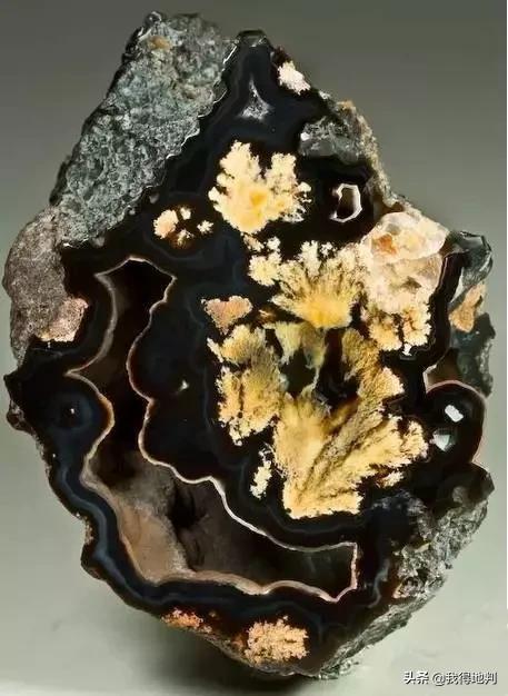 万年石头里的罕见画,万年奇石石头画