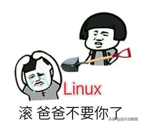 阴暗森林游戏的背景,阴暗森林游戏解析