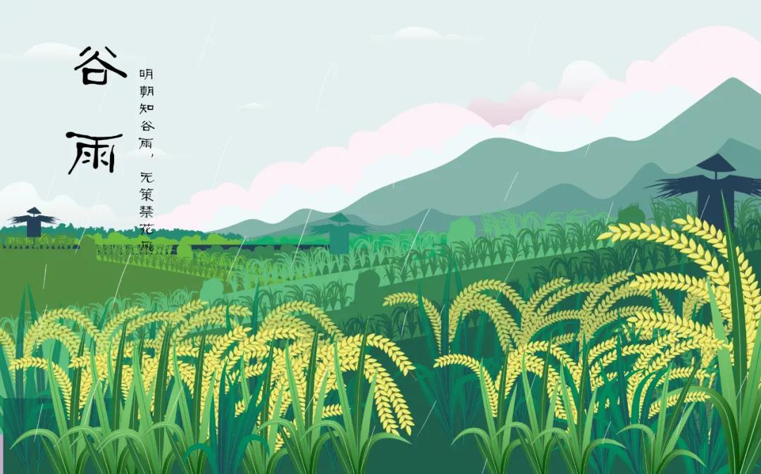 谷雨养生牢记健脾养肝的三个秘诀,春季养肝祛湿最佳方法图片