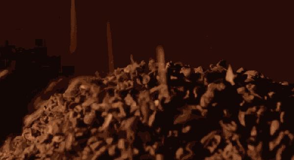 月售10000多盒的超人气饼干,曲奇饼干整箱零食