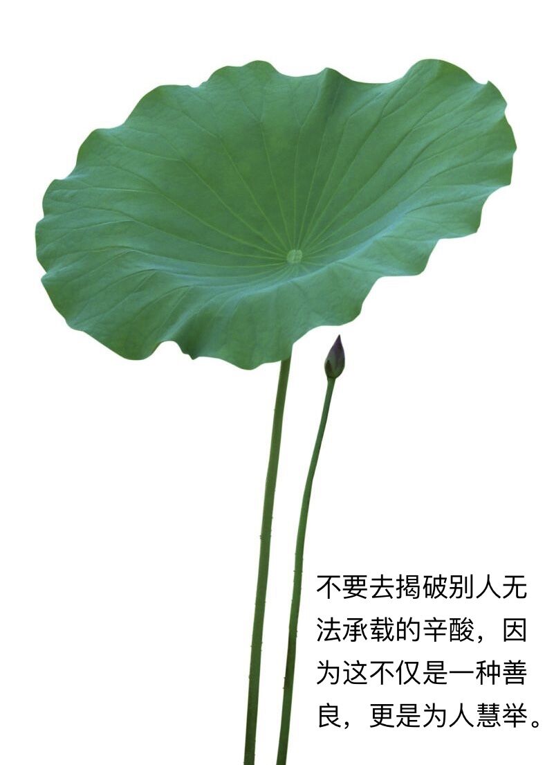 心中的神明,心中的神明作文