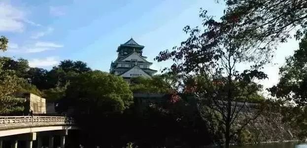 日本古玩市场视频,日本古董市场攻略