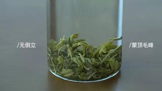 会倒立的才是好绿茶？我们给你做了这个实验